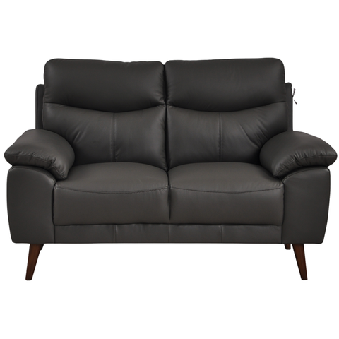 Vantage Genuine Leather Grey 2 Seater Sofa