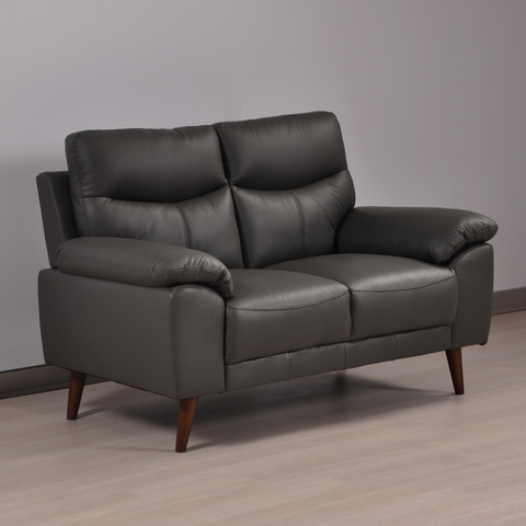 Vantage Genuine Leather Grey 2 Seater Sofa