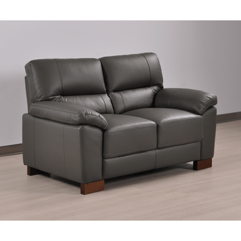 Dalmore Genuine Leather Grey 2 Seater Sofa