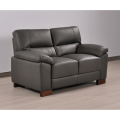 Dalmore Genuine Leather Grey 2 Seater Sofa