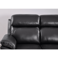 Dandrea Genuine Leather Black  Electric Power Recliner 2 Seater